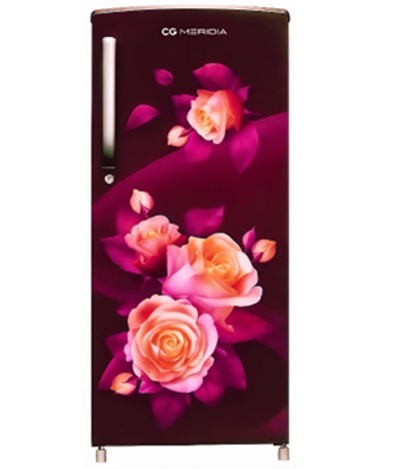 CG 205 Liter Single Door Refrigerator(CGMRS225RR)