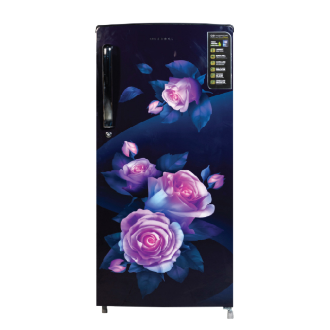 CG 205 Liter Single Door Refrigerator( CGMRS225MR)